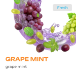 Element Earth Line Grape Mint Hookah Flavors